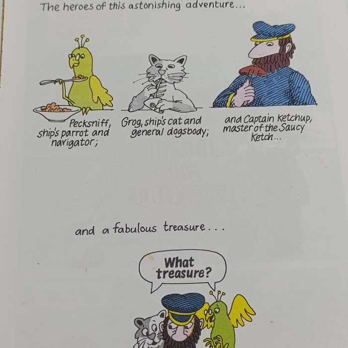 The astonishing adventures of Captain Ketchup - Neptune's Treasure by Simon Stern