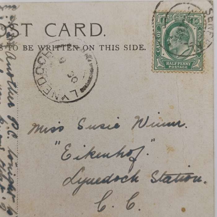 Early 1900 postcard sent from Senekal Orange Free State to Lynedoch Station Cape Colony