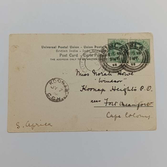 1906 Postcard from SIMLA, India to Koonap, Cape of Good Hope through Fort Beaufort