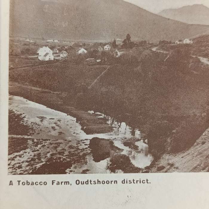 1906 Postcard from Calitzdorp, Cape Colony through Laingsburg and Bloemfontein to Dewetsdorp