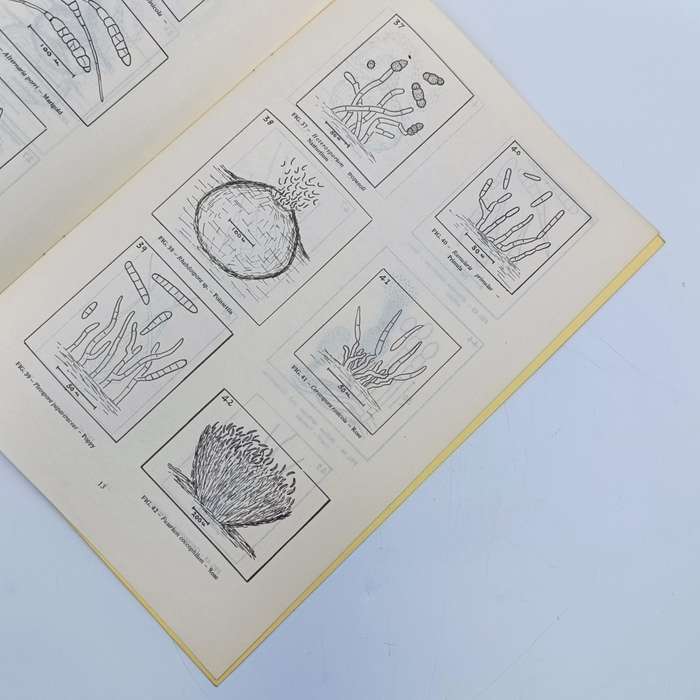 1972 Technical bulletin - Records of Diseases of Ornamental plants