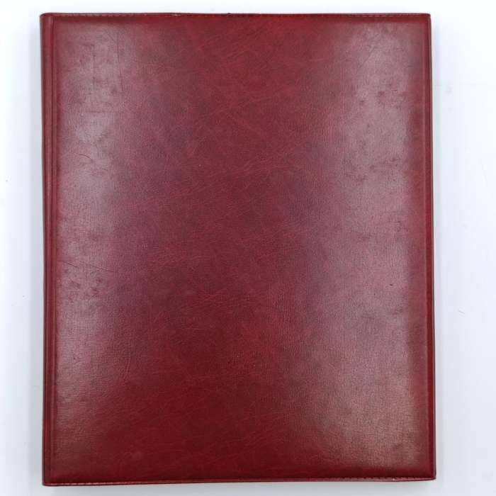 18 Page stamp world album with about 440 mint stamps - unchecked