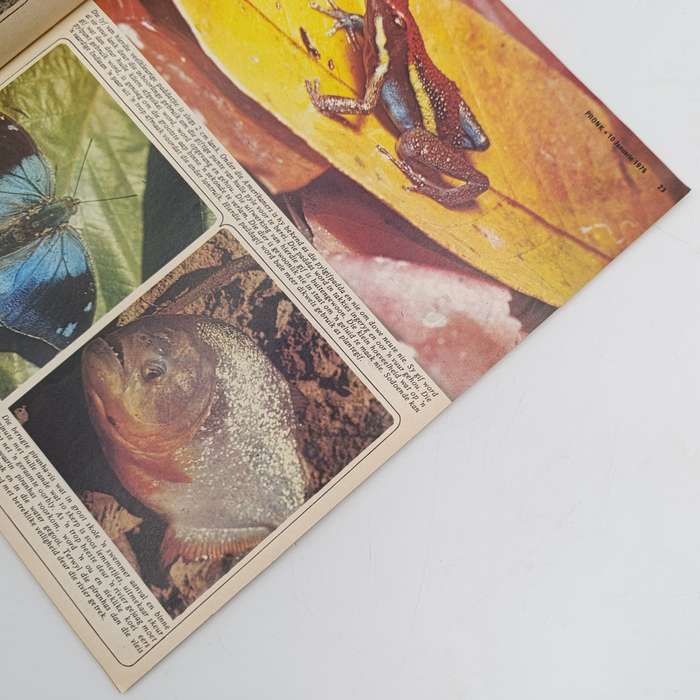 Vintage Pronk magazine - 10 January 1975 issue