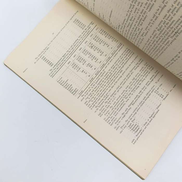Union of South Africa 1911 ANNUAL REPORT of the Trades Commissioner