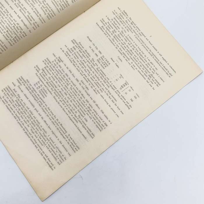 South Africa ANNUAL REPORT by Colonel Beves on the TRANSVAAL VOLUNTEERS AND CADETS