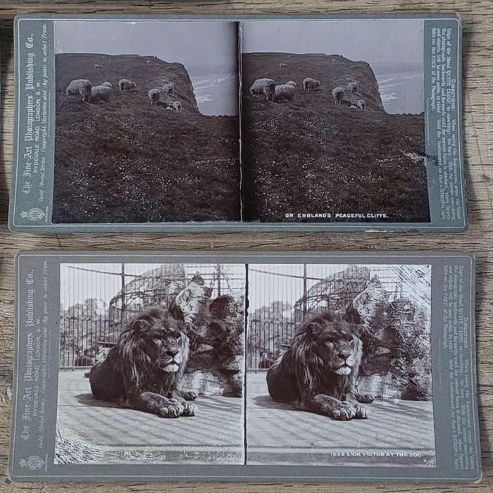 Lot of 9 Antique stereoscope cards with pictures of animals