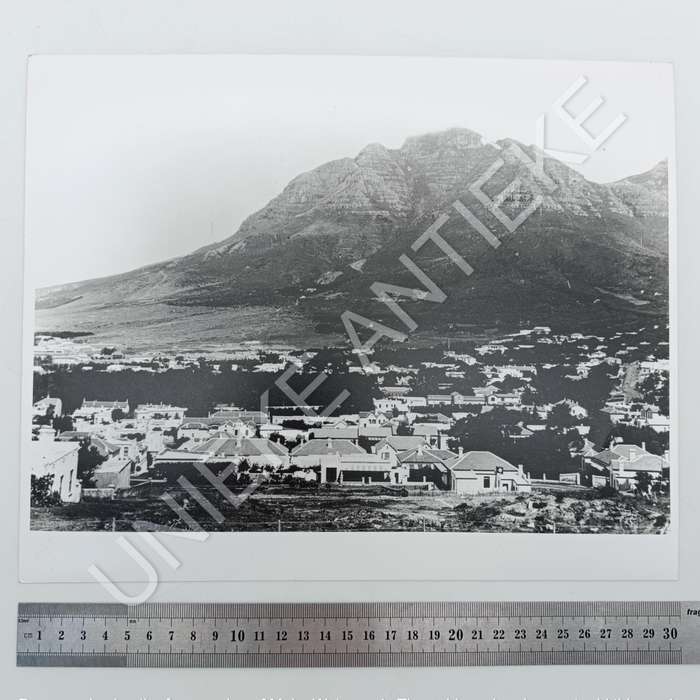 Antique photo reprint of neighbourhood below Devil's Peak