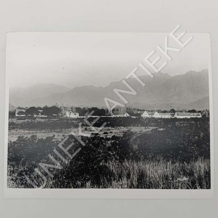Antique photo reprint of farm in Groot-Drakenstein area - possibly Boschendal