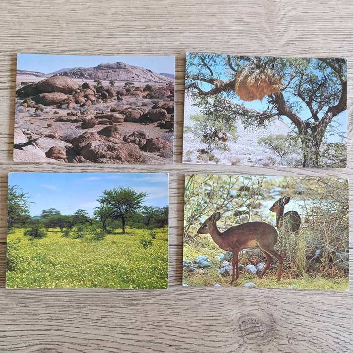 Large lot of over 200 Postcards - used and unused