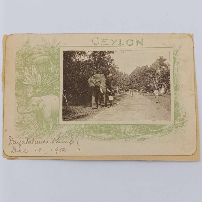 Ceylon Diyatalawa Card with Elephant Dec 1900 stuck back to back