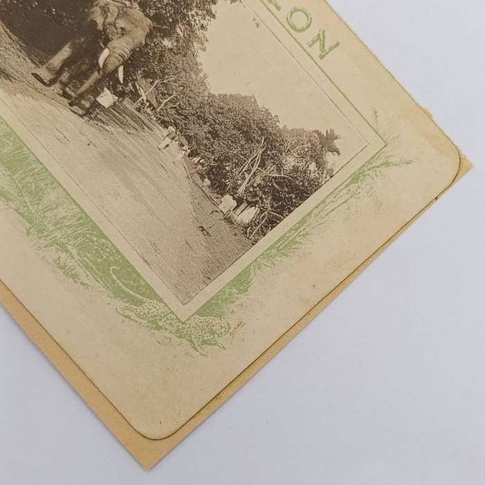 Ceylon Diyatalawa Card with Elephant Dec 1900 stuck back to back