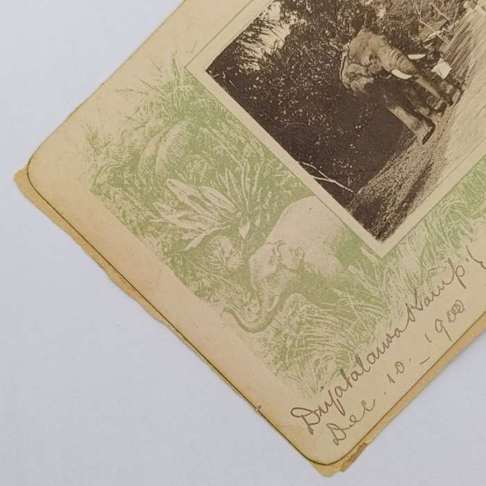 Ceylon Diyatalawa Card with Elephant Dec 1900 stuck back to back