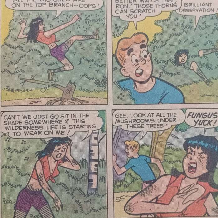 Lot of 6 vintage Archie comics