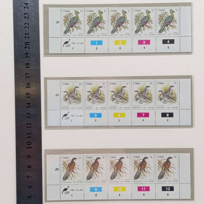 Lot of 2 Albums with over 600  Ciskei mint unhinged and used stamps on cover - 1981 and later