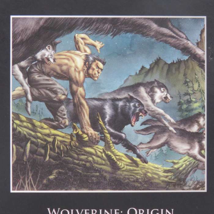 Marvel #66 Wolverine Origin graphic novel