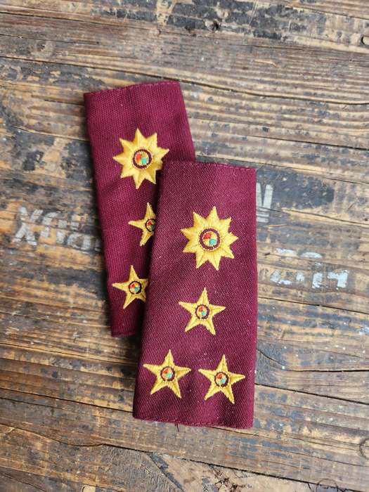 100% original less common & not often seen pair SAMS interim period (post 94) Brigadier rank pair