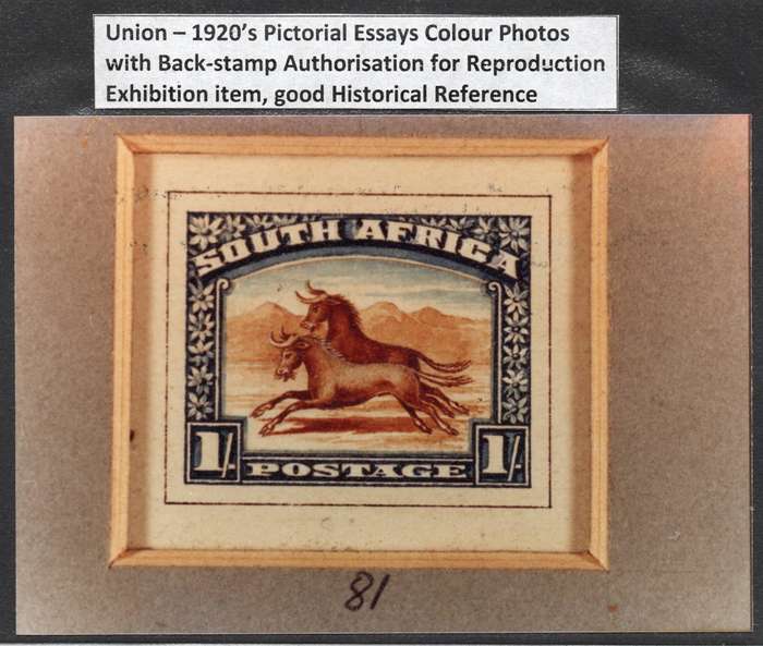 Union of SA - circ 1920 1/- Essay - Colour Reproduction - See Below