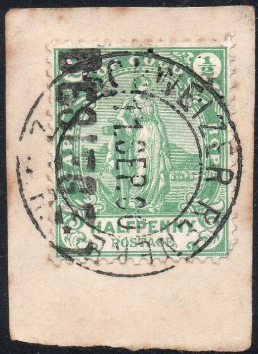 SCHWEIZER RENECKE 1900 SACC5 ½d GREEN - VFU ON PIECE - SCARCE