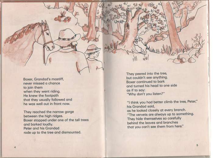 TINY - WINCKLER AND MARAIS (STAGE 4 - 1 ST EDITION 1986)