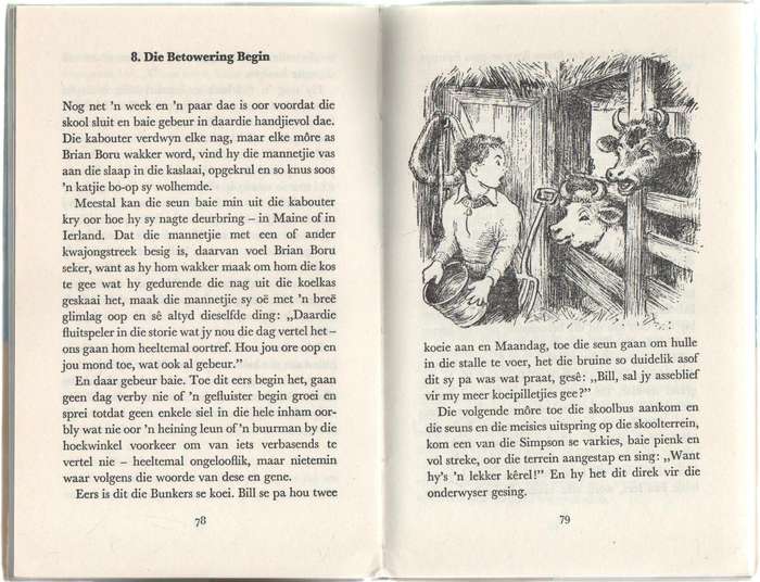 DIE BETOWERDE SKOOL - RUTH SAWYER (1972) JEUGVERHAAL