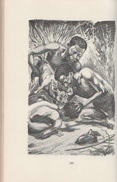 TRADOS DIE SWERWER BOESMAN - P J SCHOEMAN (1963)