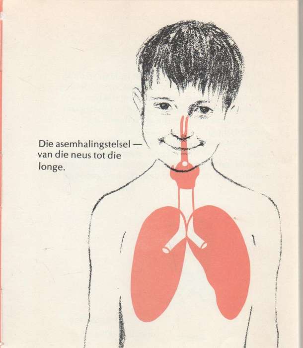 DIE ASEMHALINGSSTELSEL - KATHLEEN ELGIN (1976)