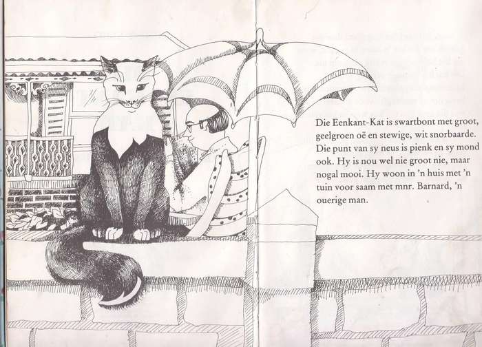 DIE EENKANT KAT - JENNY SEED (1 STE AFRIKAANSE UITGAWE 1987) JEUGVERHAAL
