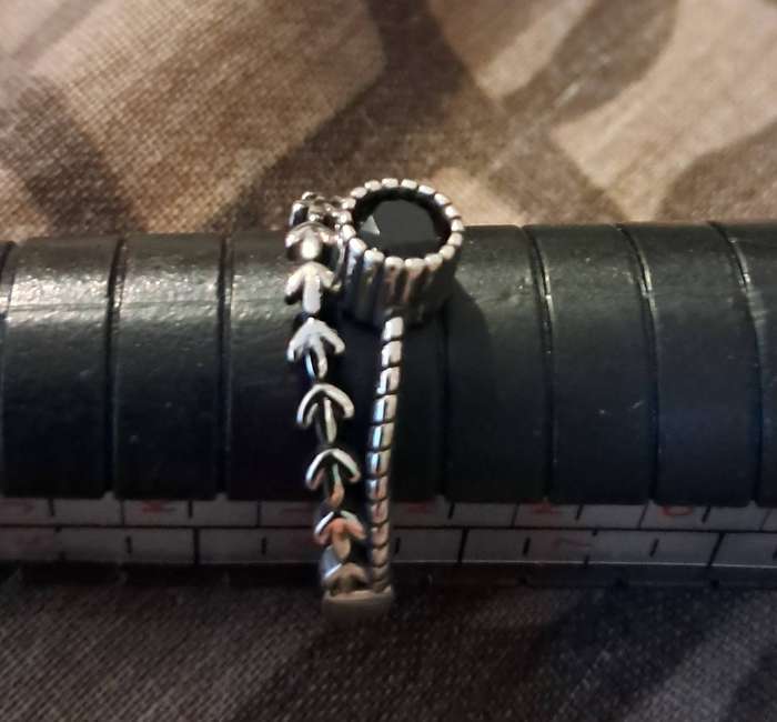 Silver Plated Adjustable Ring