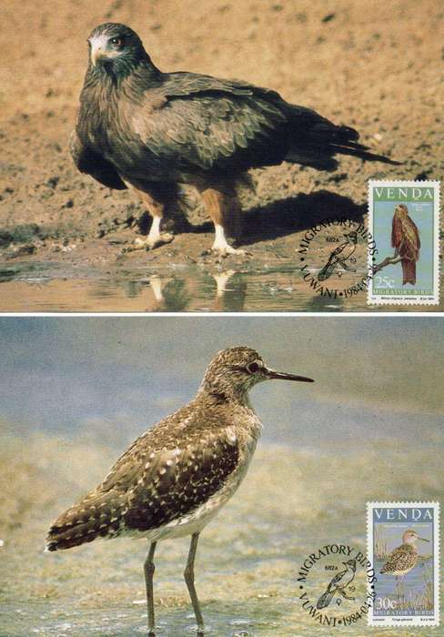 Venda Maxi Cards: Migratory Birds Set of 4