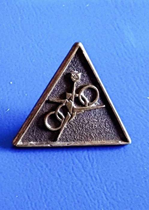 Olympic community Pin Badge