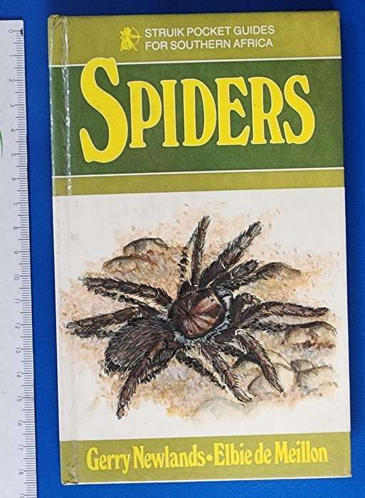Spiders: Struik Pocket Guides for Southern Africa