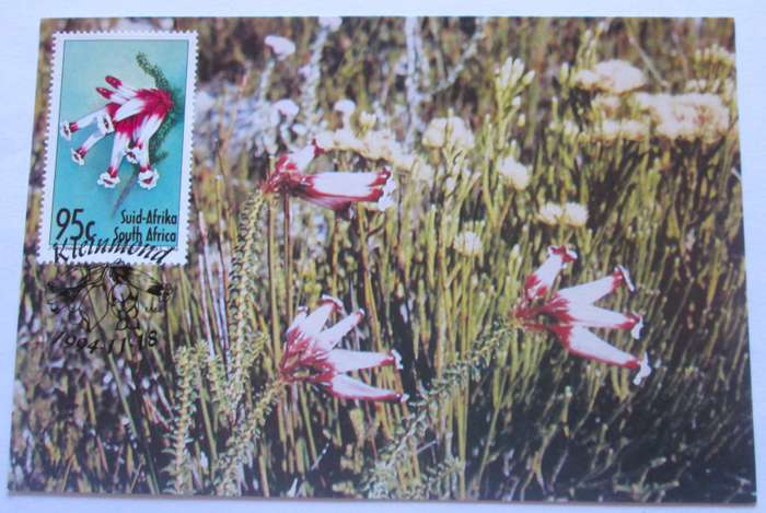 1994 Kleinmond Flowers Post Cards