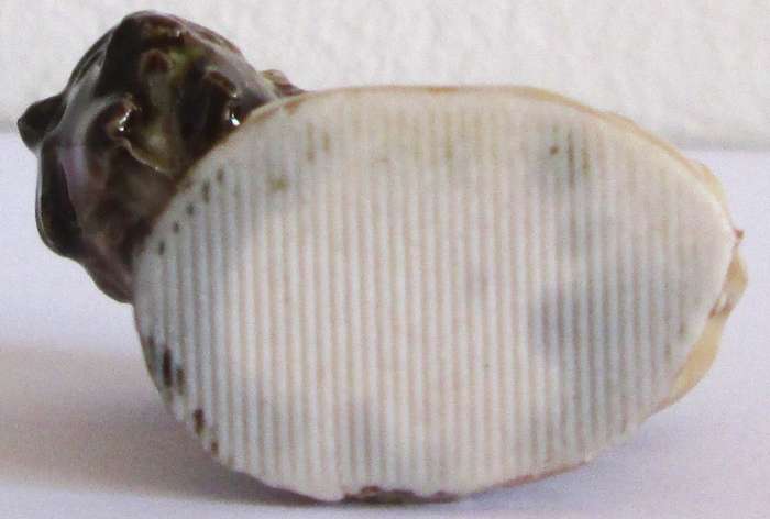1979 Bison Wade English Whimsies