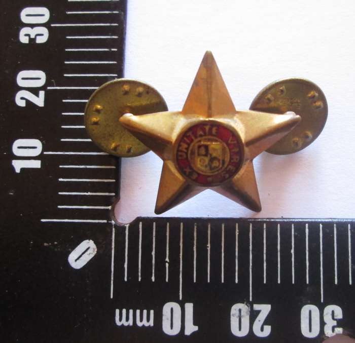 South African Army Ex Unitate Vires