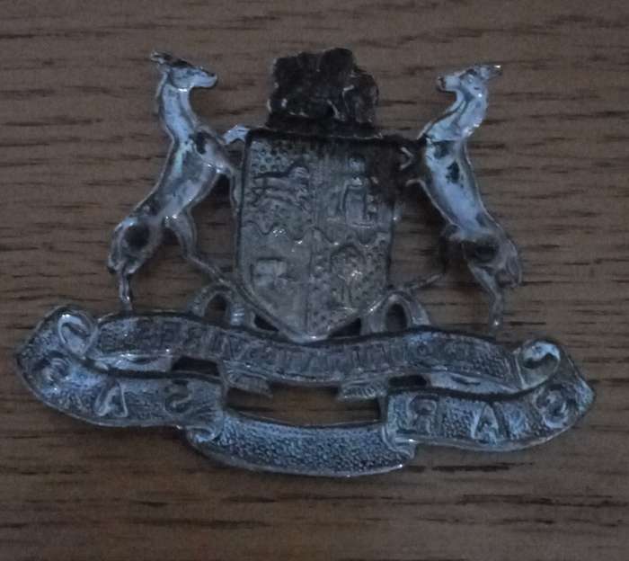 SAS/SAR GILDING METAL CAP BADGE