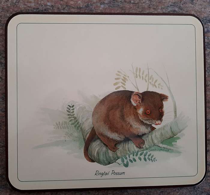 Jason vintage cork backed placemats, 6 times, 217 x 190mm, unused