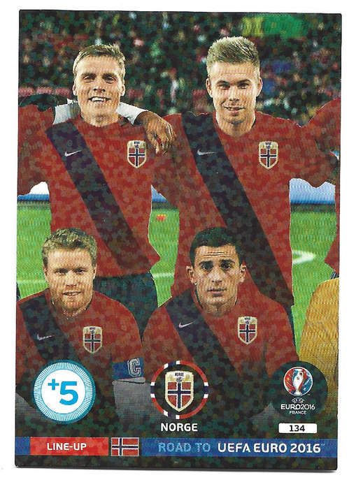 NORWAY - PANINI Road to Euro 2016 Collection - TEAM "LINE UP" TRADING CARD  134