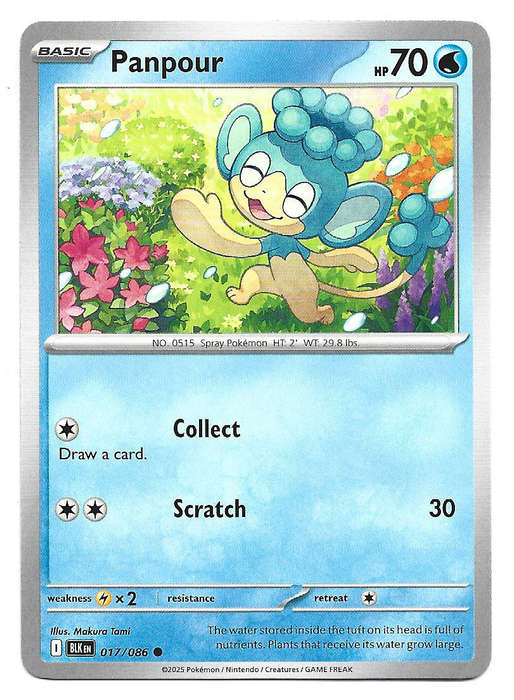 PANPOUR -  COMMON  17/86 POKEMON TCG BLACK BOLT TRADING CARD
