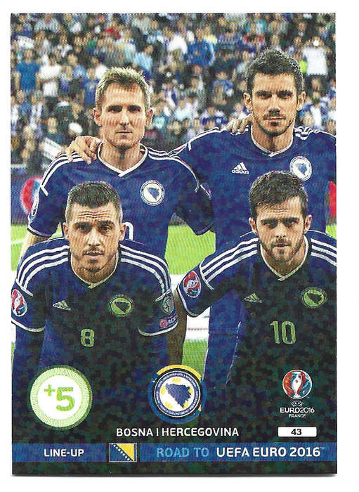 BOSNIA - PANINI Road to Euro 2016 Collection - TEAM "LINE UP" TRADING CARD 43