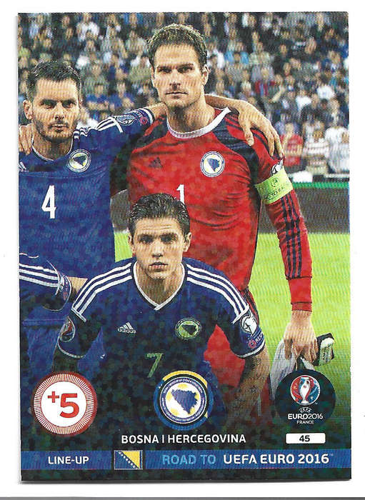 BOSNIA - PANINI Road to Euro 2016 Collection - TEAM "LINE UP" TRADING CARD 45