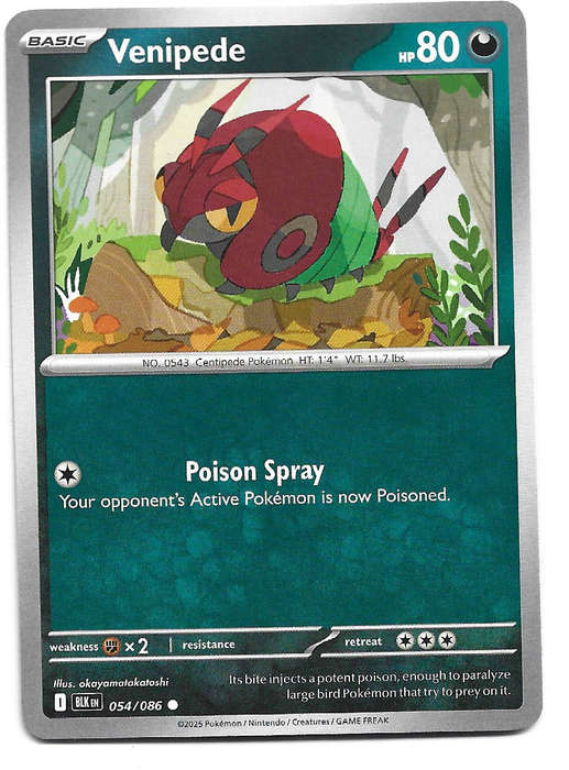 VENIPIDE - COMMON   54/86 POKEMON TCG BLACK BOLT TRADING CARD