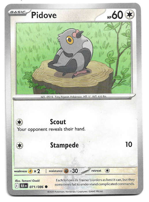 PIDOVE - COMMON   71/86 POKEMON TCG BLACK BOLT TRADING CARD