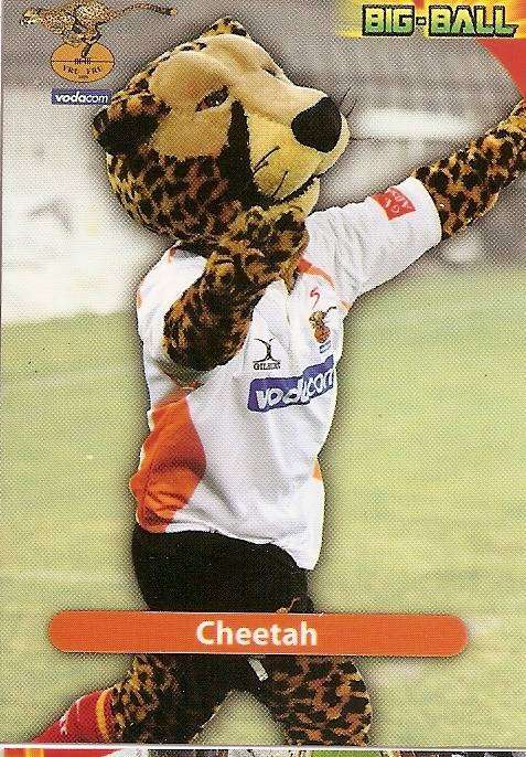CHEETAH  - 2010 BIG BALL RUGBY COLLECTION - MASCOT BASE TRADING CARD CH38