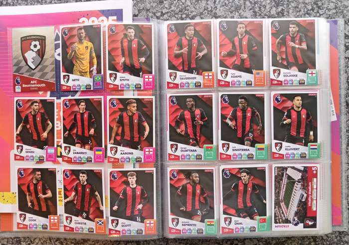 PANINI English Premier League 2024/2025 -  COMPLETE 459 TRADING CARD COLLECTION - NO Golden Ballers