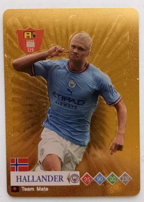 ERLING HAALAND - WORLD STARS 2025 COLLECTION - GOLD TRADING CARD