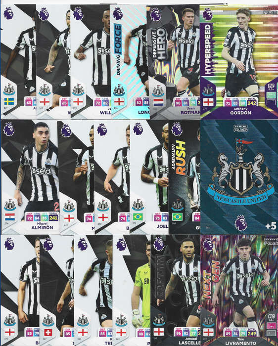 NEWCASTLE UNITED - PANINI English Premier League PLUS 2024 - COMPLETE TEAM SET of 18 TRADING CARDS