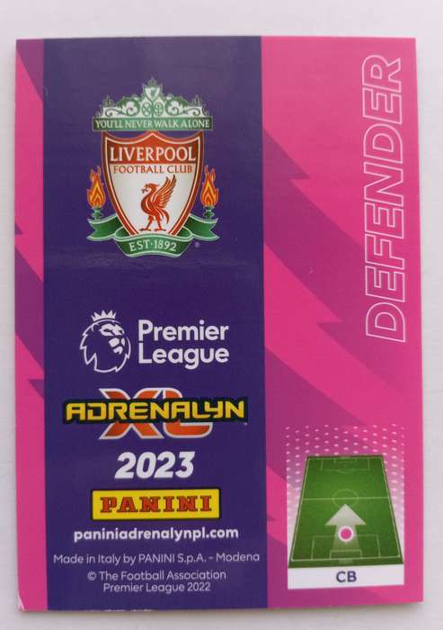 VIRGIL VAN DIJK - PANINI Eng. Premier League 2022/2023 - RARE `EXCELLENCE` TRADING CARD