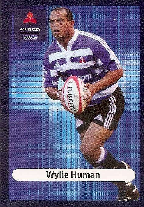 WYLIE HUMAN (Stormers) - BIG BALL RUGBY COLLECTION  2009 -  BASE TRADING CARD