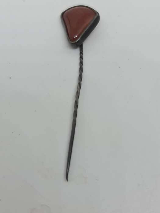 Jasper set in silver Tone pin
