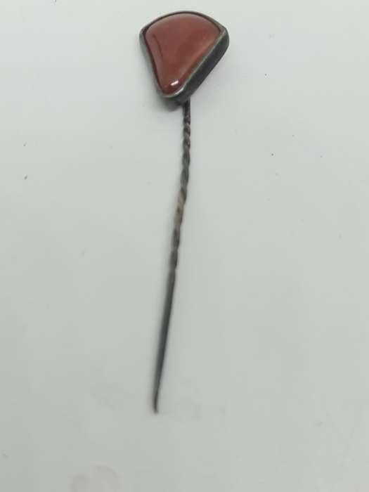 Jasper set in silver Tone pin